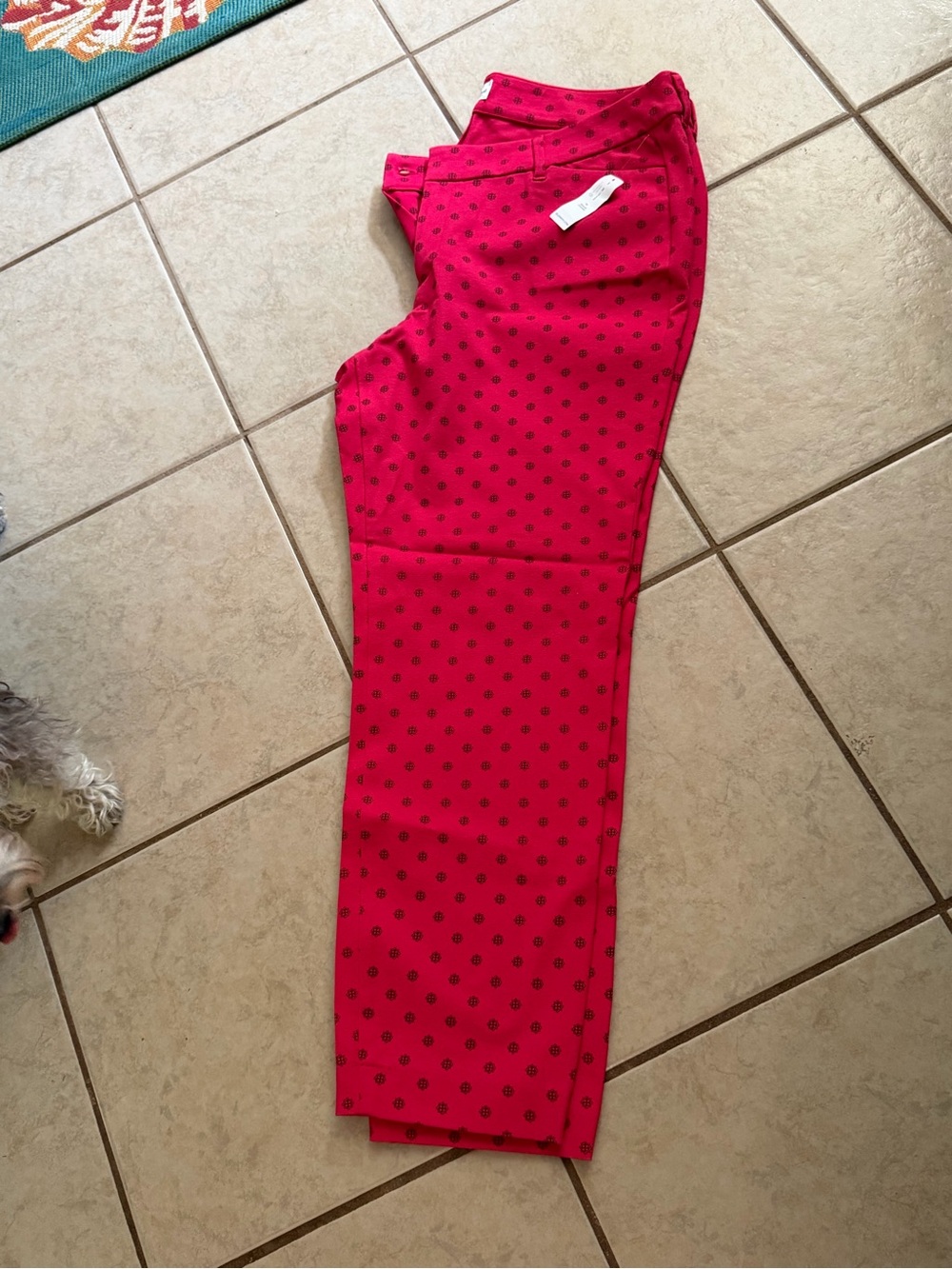 NWT Old Navy Pixie Straight Leg Pants